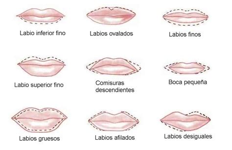 formas de chochos|9 tipos de vulva, según la forma de los labios vaginales